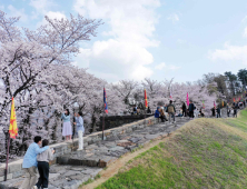 꽃과 문화의 축제 “밀양의 봄을 흠뻑 느껴보세요”