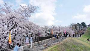 꽃과 문화의 축제 “밀양의 봄을 흠뻑 느껴보세요”
