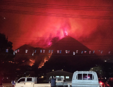 권영세 “10조 산불 추경 시급…野 협조해달라”