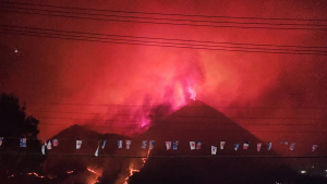 권영세 “10조 산불 추경 시급…野 협조해달라”