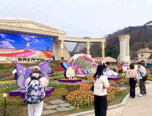 봄 손님 맞는 ‘에버랜드’…튤립축제·사파리 물들인 산리오 캐릭터