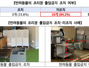 소비자원 “임의 반려동물 동반 허용 음식점, 위생관리 미흡”