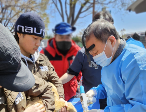 유한양행, 산불로 화상 입은 동물 치료 지원
