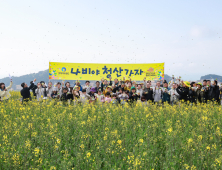 “청산도에서 낮밤 없이 놀아보세!”