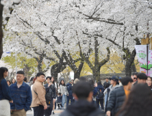 경주 대릉원 돌담길 축제 ‘성료’…사흘간 14만명 ‘방문’