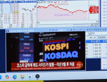 코스피, 장중 2350선 낙폭 유지