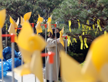 세월호 참사 11주기 앞두고 노란 리본 설치