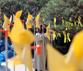 세월호 참사 11주기 앞두고 노란 리본 설치
