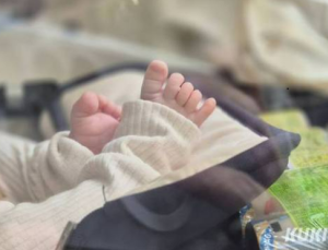 비혼 출산도 가족…“저출생 극복 위해 제도 개선해야”