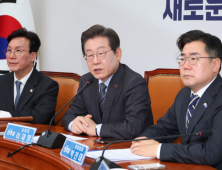 오락가락 개헌…고민 깊은 민주
