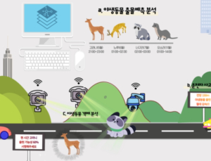 로드킬 AI로 막는다...양평·평창 국도 ‘동물출현 감지 시스템’ 설치 