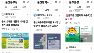 울산지자체들 ‘당근마켓’ 이용한 홍보로 눈길