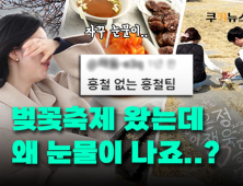 벚꽃은 폈는데 지갑은 닫혔다? 축제 물가 체감기 [이슈 인사이드]
