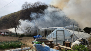 경북 성주군 산불, 1시간 30분 만에 진화…80대 남성 화상 