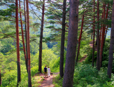 경북도, 산불피해 주민 대상 ‘마음 회복 프로그램’ 운영