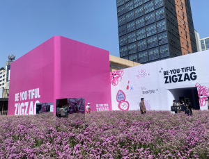 지그재그, 뷰티로 영토 확장…‘선택과 집중’ 돋보였다 [현장]