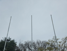속초시 영랑호 벚꽃축제, 
