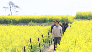 포항 호미곶 일원, 경관농업 메카 ‘우뚝’