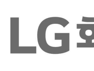 LG화학, 中서 배터리 특허 무효 판정…“항소 검토, 사업엔 영향 無”
