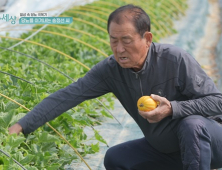 “족부절단 위기 벗어나” ‘당 편한 세상’, 당뇨 극복 사례 담는다