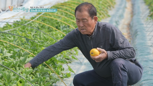 “족부절단 위기 벗어나” ‘당 편한 세상’, 당뇨 극복 사례 담는다