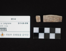 학도병 출신 고 주영진 일병 75년만에 가족품으로 귀환