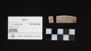 학도병 출신 고 주영진 일병 75년만에 가족품으로 귀환