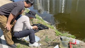 강원도, 춘천 공지천 물고기 폐사 2차 수질조사 실시