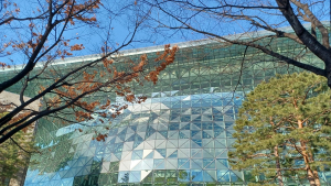 서울시, 자치구 지역특화사업 30건에 4억8500만원 지원
