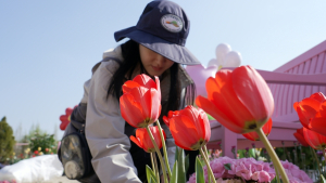 세종수목원 봄꽃특별전 ‘세록세록’ 준비완료… 16일 한수정 소식