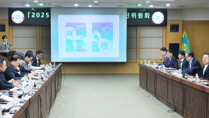 대한민국 대표 이벤트 '대전 0시 축제' 본격 시동