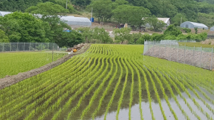 화천군, 야생동물 피해예방 철제울타리 설치 지원…최대 70%