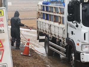 충남 아산서 고병원성 AI 추가 발생…전국 47건으로 늘어