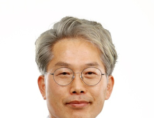 전주 완산칠봉에 난대성 호랑가시나무 생육