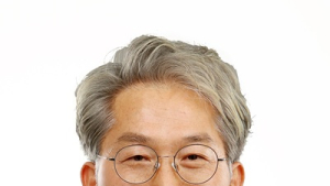 전주 완산칠봉에 난대성 호랑가시나무 생육