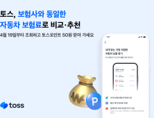 85% 고착화된 車보험 시장…플랫폼이 깰 가능성은