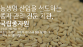 산불피해농가 벼·콩 정부보급종 추가 무상공급...11품종 1259톤
