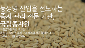 산불피해농가 벼·콩 정부보급종 추가 무상공급...11품종 1259톤