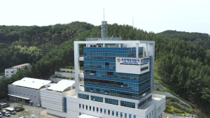 포항·경주 해역 ‘안전 불감증’ 도 넘었다