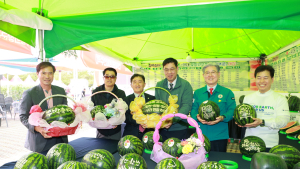 의령토요애수박축제 성황…양재명 씨 큰수박 대상