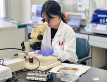 경남서 올해 첫 일본뇌염 매개모기 확인…주의 당부