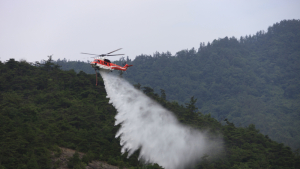 김해 산불 발생…1시간여만에 진화