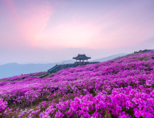 ‘산청, 꽃이 피나봄’ 산청 황매산 ‘진분홍 꽃대궐’