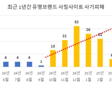 SNS 광고 타고 퍼지는 가짜 쇼핑몰…대응 나선 서울시