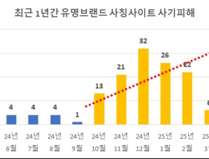 SNS 광고 타고 퍼지는 가짜 쇼핑몰…대응 나선 서울시