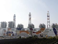RE100, 석탄 혼합 연소 전면 배제에…발목 잡힌 발전5사