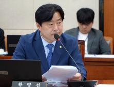 '매국협상' '위헌대행'… 황명선 의원, 한덕수 권한대행체제 맹폭