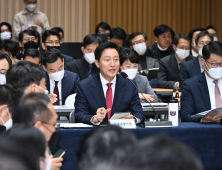 서울시, 규제 129건 없앴다…국장급 전담조직도 신설