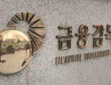 롯데손보 불복에 금감원 “매우 유감…계약자 보호될지 심각 우려”