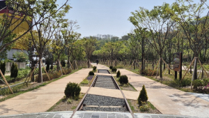 전북자치도, 기후위기 대응 도시숲 더 크게 늘린다